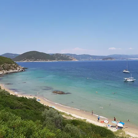 Domatia