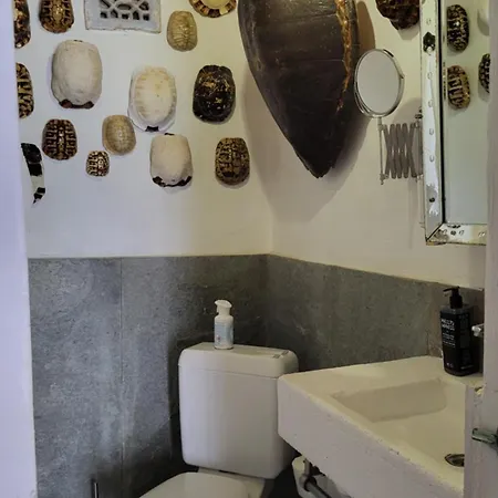 Вилла Domatia *