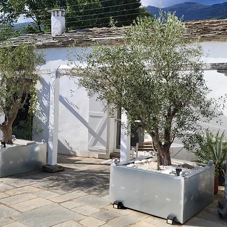 Villa Domatia *